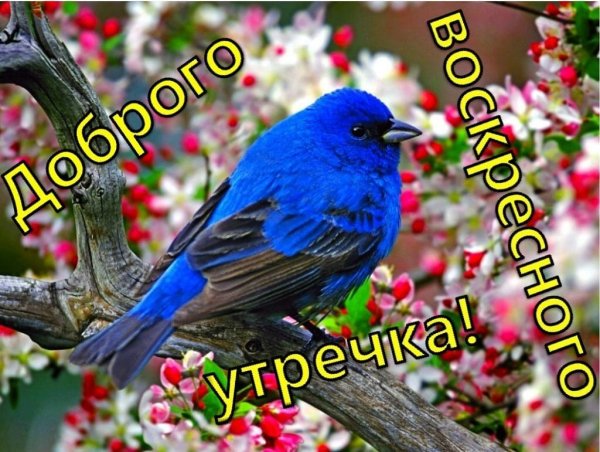 Доброго утречка