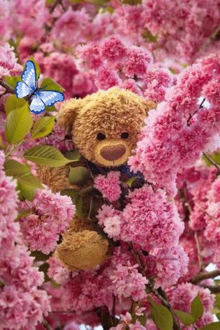 file_93509945