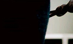 tumblr myqusbnYqZ1r3wk77o4 250