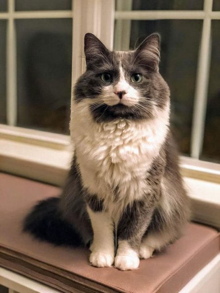 FB IMG 1755952115422