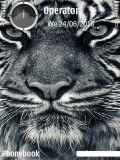 whitetiger