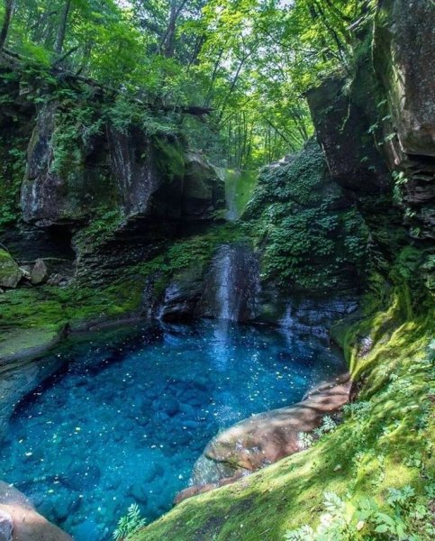 2cfb5afdb02ce7a4dc0abaa72d574a30