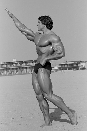 Schwarzenegger-MAHW o tn