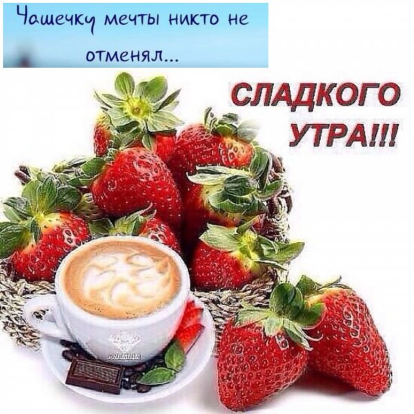 n7SLbPx8bR8