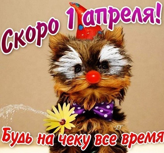UGyROP-UJmI