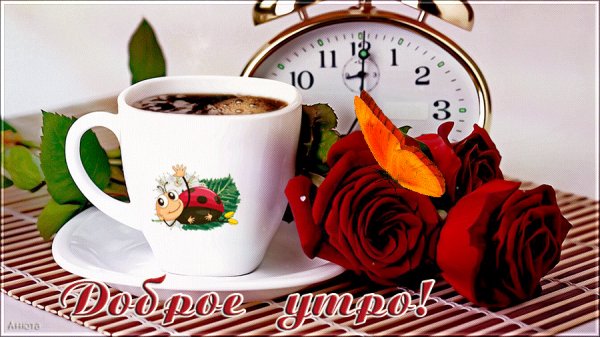 Доброе утро!