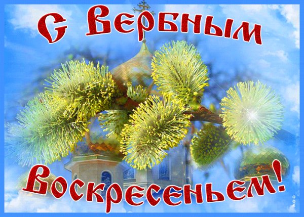 Верба 021008