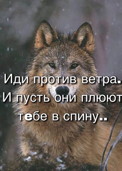 Запомни
