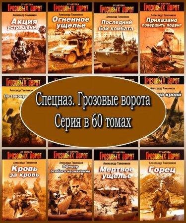 Спецназ. Грозовые ворота