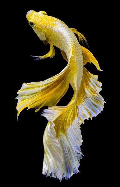 b7901da7e02de65cee5f1265438d