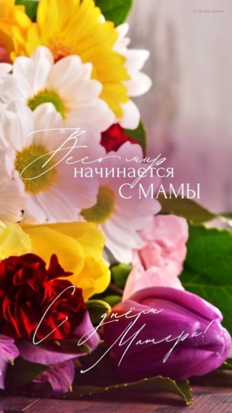 file_95156239