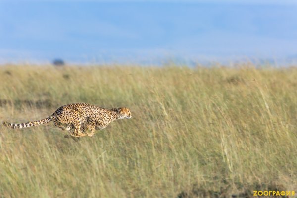 lcv4wj7sxue0lyxxaq49b6k21lhbw