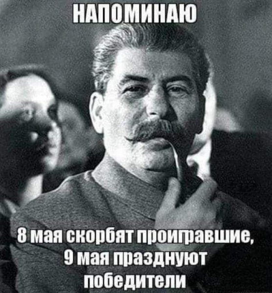D4e87ef9a7331e6c9ad3988f96388bb8