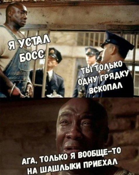 FB IMG 1778093104392
