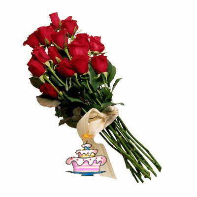 СДР Бук.красн.роз