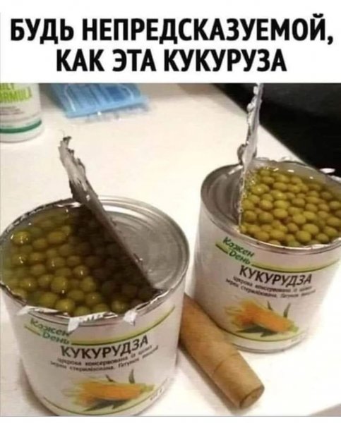 Ins53183657164 67e6dce77d8749079726715e61b8331e