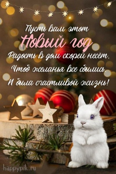 file_92335595