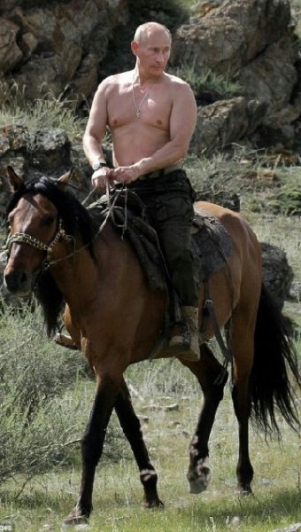 Путин на коне