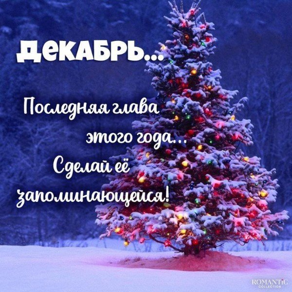 file_95303858