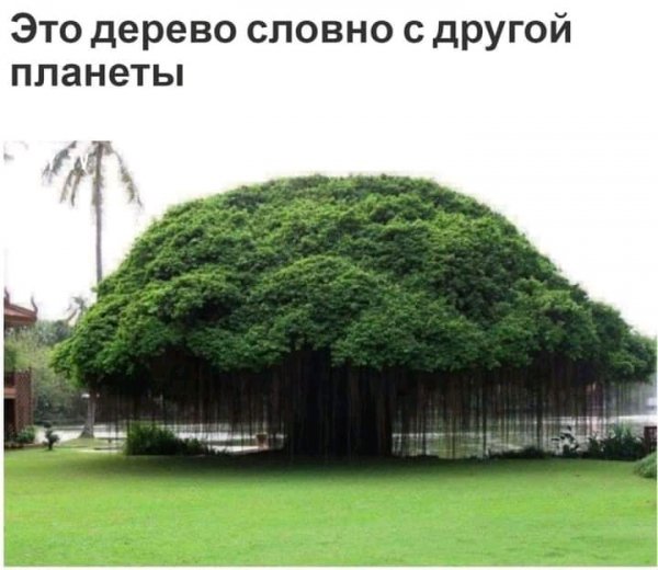 FB IMG 16152530131676504
