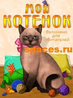 Мой котёнок МТС