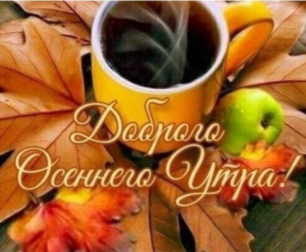 IMG-20251031-WA0002