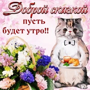 IMG 20181121 062506