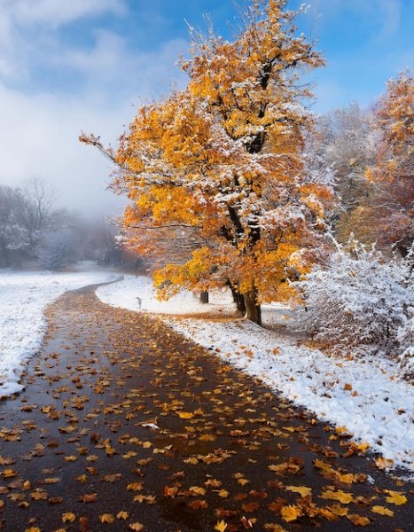 Snowy-landscape-autumn 1141511-365
