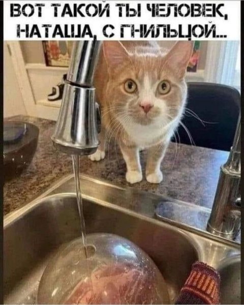 Такой человек