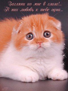 file_48130329