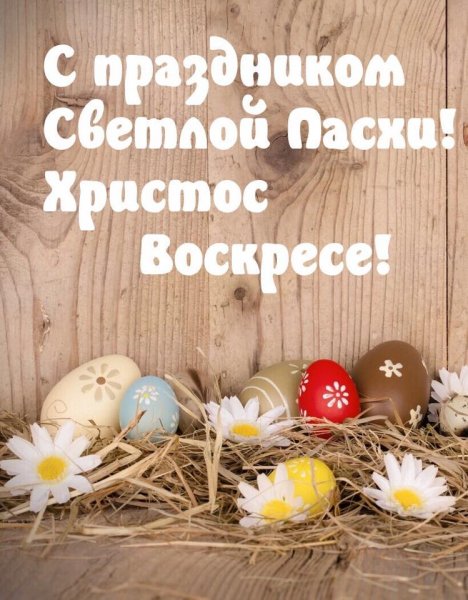 file_84185455