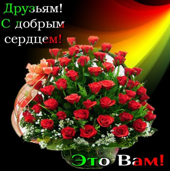xtLuQbR31Pg