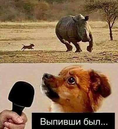 FB IMG 1775930017975