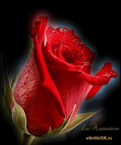 IMG 20161228 201133 0