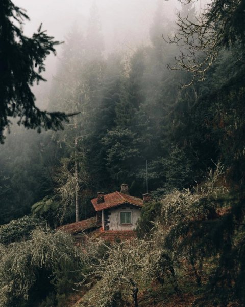 file_92839850