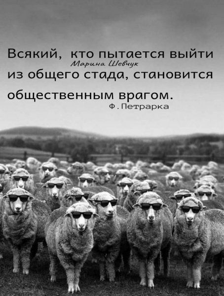 ba0e7e9645a9cef7d2a6cc