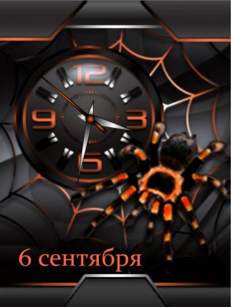 Паук (D.L.)