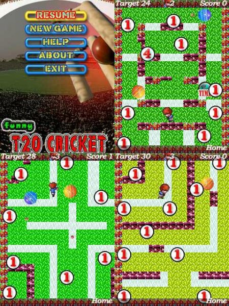 Funny T20 Cricket 320x240 E72
