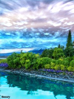 file_54728464