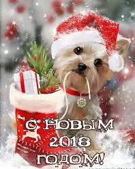 images-19-1