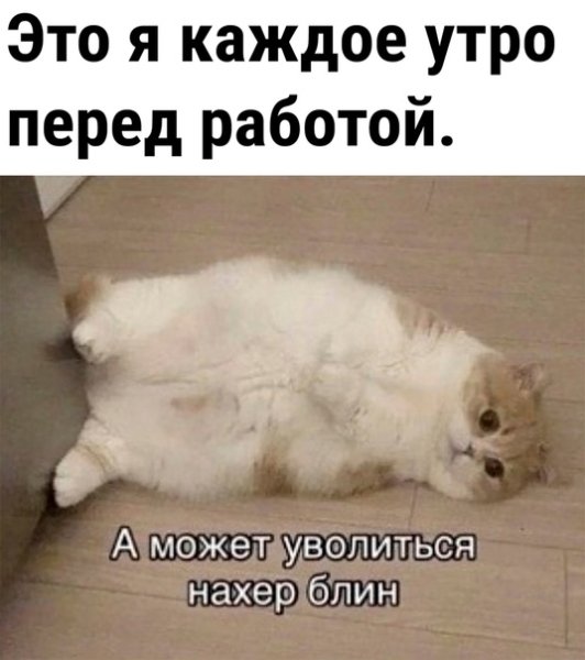file_96610706