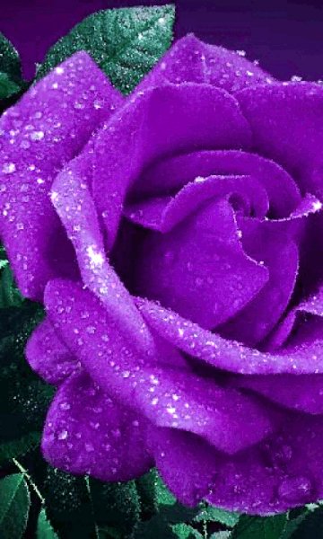 file_99484111