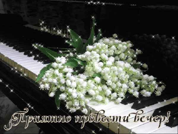 0 141923 a4490a76 XXL