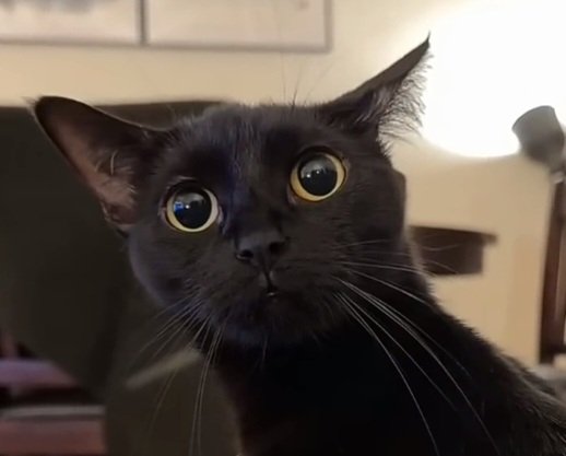 Котэ