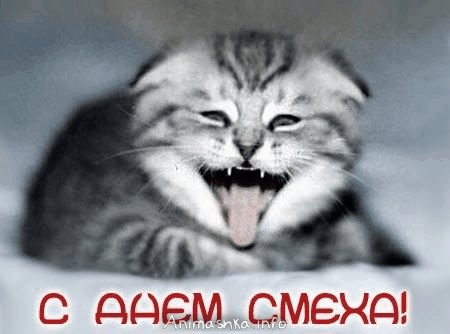 file_55979295
