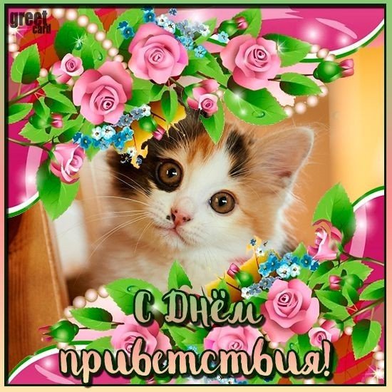 file_101283813