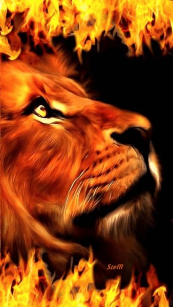 fire-wallpaper-gif-3