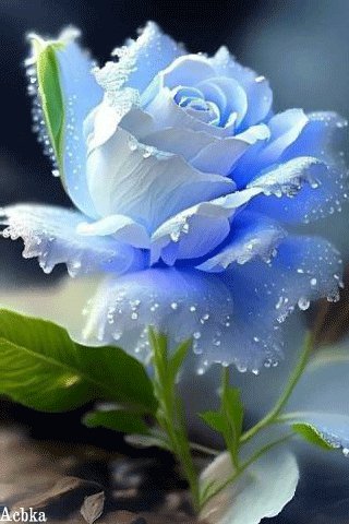 file_93421853
