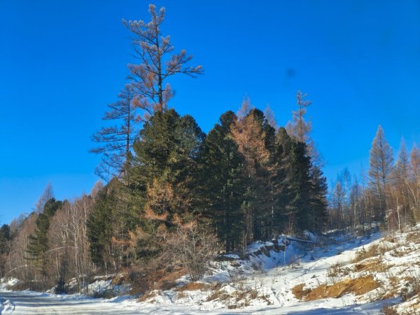 -5265099030214600240 121