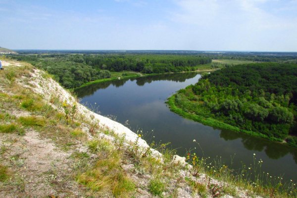 image (2)